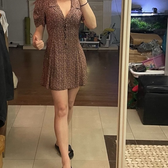 Collared Dress - Picture 3 of 3